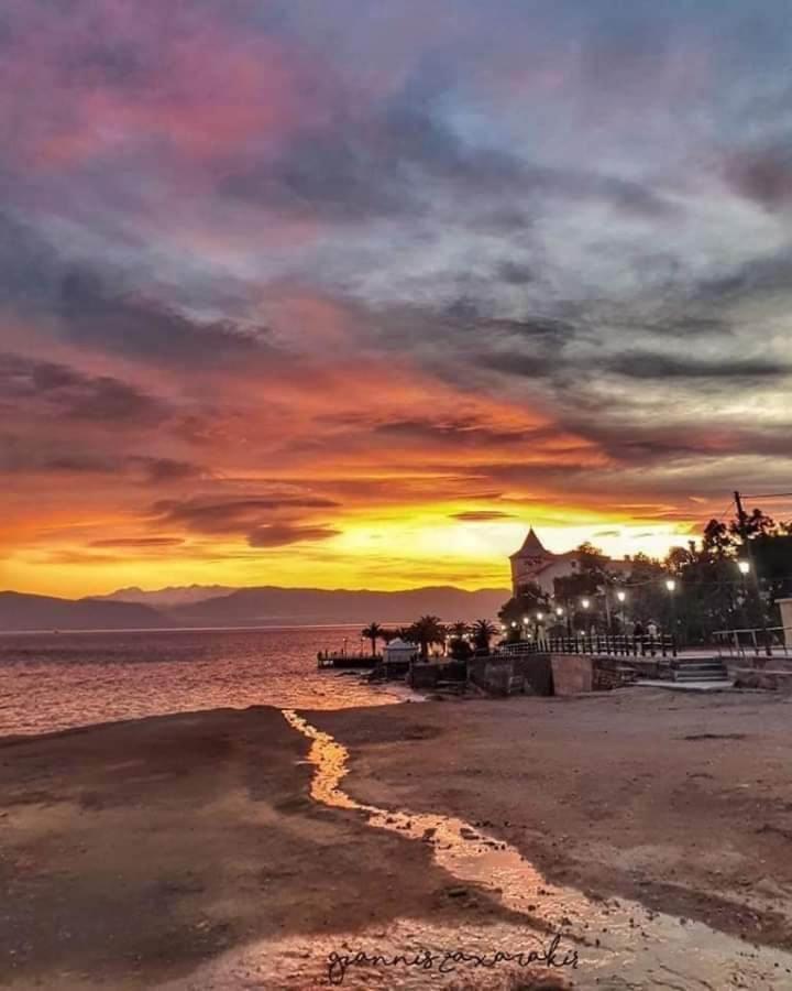 Saint George Hotel لوترا إديبسو المظهر الخارجي الصورة
